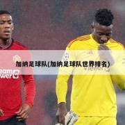 加纳足球队(加纳足球队世界排名)