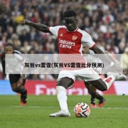 灰熊vs雷霆(灰熊VS雷霆比分预测)