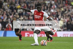 灰熊vs雷霆(灰熊VS雷霆比分预测)