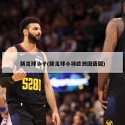 新足球小子(新足球小将欧洲国语版)