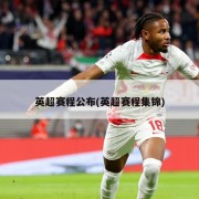 英超赛程公布(英超赛程集锦)