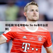 羽毛球(羽毛球拍4u 5u 6u有什么区别)