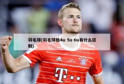 羽毛球(羽毛球拍4u 5u 6u有什么区别)
