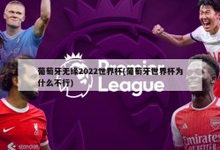 葡萄牙无缘2022世界杯(葡萄牙世界杯为什么不行)