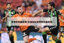 世界杯历届冠军(华语辩论世界杯历届冠军)