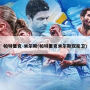 帕特里克-米尔斯(帕特里克米尔斯双能卫)