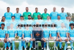 中国世界杯(中国世界杯预选赛)