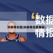 科斯蒂尼亚(科斯蒂尼亚葡超)