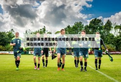 英超联赛免费直播在线观看(英超联赛免费直播在线观看 无插件)
