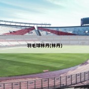 羽毛球林丹(林丹)