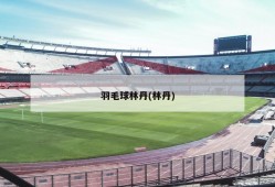 羽毛球林丹(林丹)