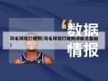 羽毛球双打规则(羽毛球双打规则详解完整版)