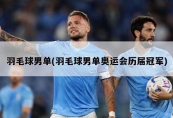 羽毛球男单(羽毛球男单奥运会历届冠军)