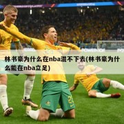 林书豪为什么在nba混不下去(林书豪为什么能在nba立足)