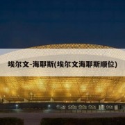 埃尔文-海耶斯(埃尔文海耶斯顺位)