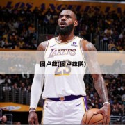 图卢兹(图卢兹鹅)