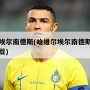 哈维尔埃尔南德斯(哈维尔埃尔南德斯为什么叫小豌豆)