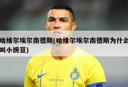 哈维尔埃尔南德斯(哈维尔埃尔南德斯为什么叫小豌豆)