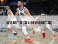 羽毛球厂家(富力特羽毛球厂家)