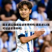 国足进12强就能进世界杯吗(国足进12强可以进世界杯吗)