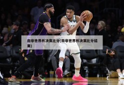 南非世界杯决赛比分(南非世界杯决赛比分结果)