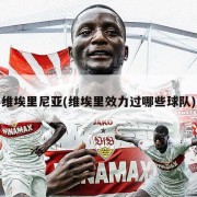 维埃里尼亚(维埃里效力过哪些球队)
