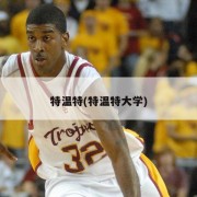 特温特(特温特大学)