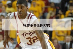 特温特(特温特大学)