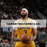 约基奇是哪个国的(约基奇是什么意思)