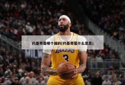 约基奇是哪个国的(约基奇是什么意思)