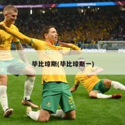 毕比琼斯(毕比琼斯一)