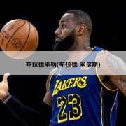 布拉德米勒(布拉德 米尔斯)