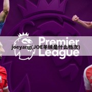 joeyang(JOE羊绒是什么档次)