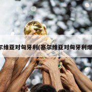 塞尔维亚对匈牙利(塞尔维亚对匈牙利爆冷)