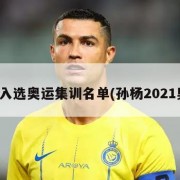 孙杨入选奥运集训名单(孙杨2021奥运)