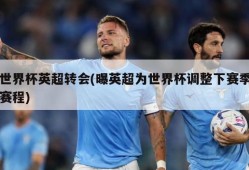 世界杯英超转会(曝英超为世界杯调整下赛季赛程)