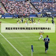 英超足球宝贝视频(英超足球宝贝视频大全)