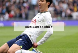 马国栋(马国栋个人资料简介)