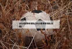 2018世界杯球队(2018世界杯球队分档)