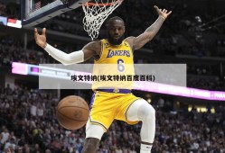 埃文特纳(埃文特纳百度百科)