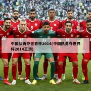 中国队勇夺世界杯2014(中国队勇夺世界杯2014王涛)