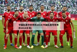 中国队勇夺世界杯2014(中国队勇夺世界杯2014王涛)