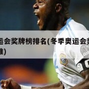 冬季奥运会奖牌榜排名(冬季奥运会奖牌榜第一名是谁)